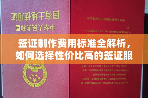 乐山签证制作费用标准全解析，如何选择性价比高的签证服务？